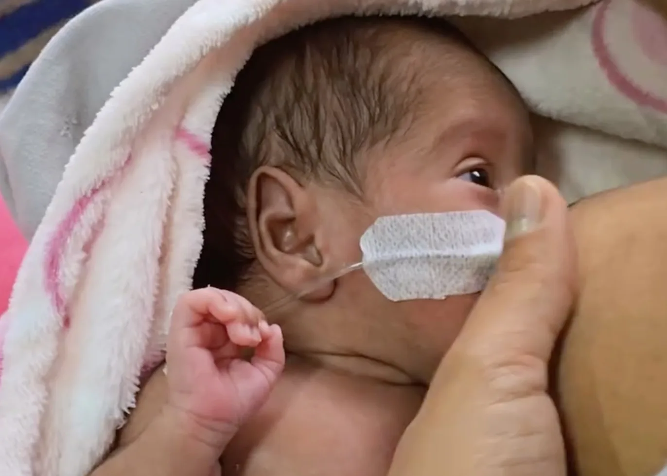 Banco de Leite de Osasco reforçou o pedido por novas doadoras para ajudar bebês prematuros internados na UTI neonatal do Amador Aguiar