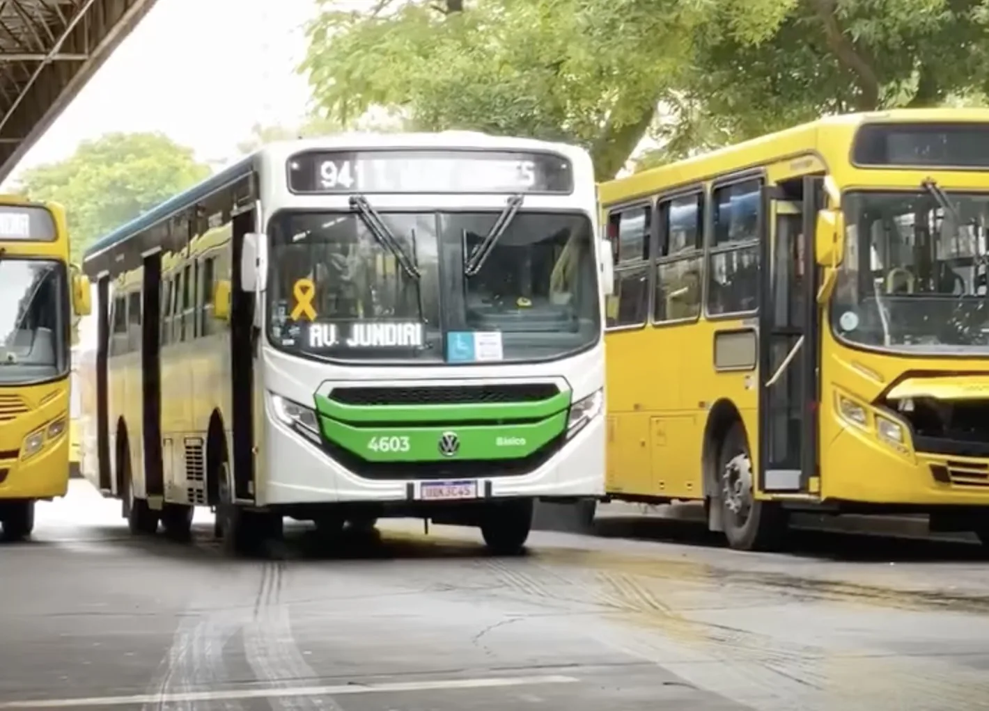 Jundiaí coloca mais de 70 novos ônibus “Branquinhos” em circulação na maior renovação da frota da cidade