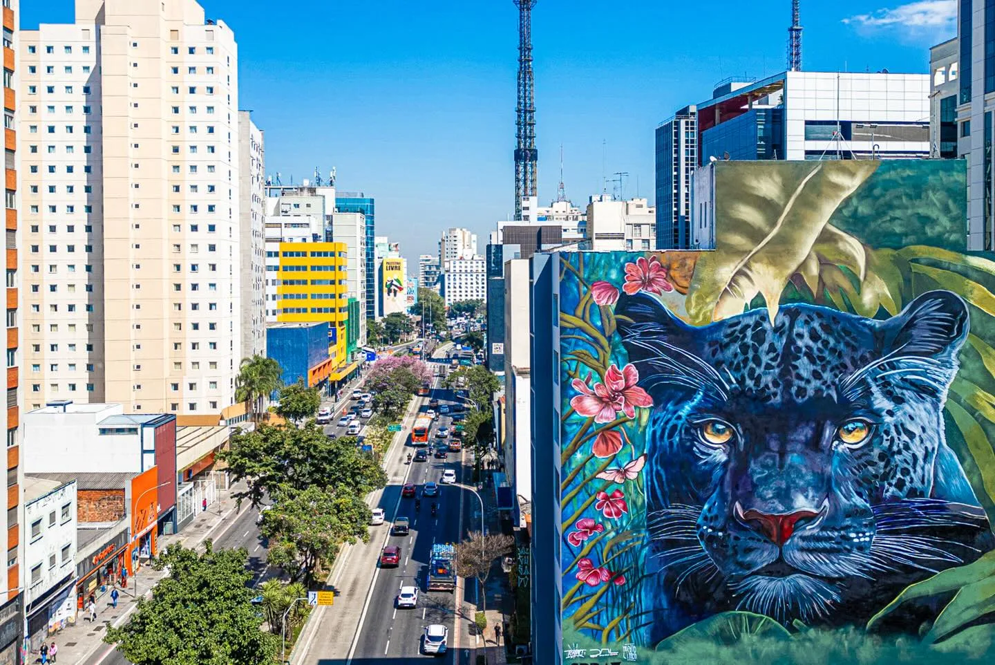 Rodízio suspenso no Corpus Christi em São Paulo: entenda quais restrições deixam de valer e o que continua funcionando na cidade