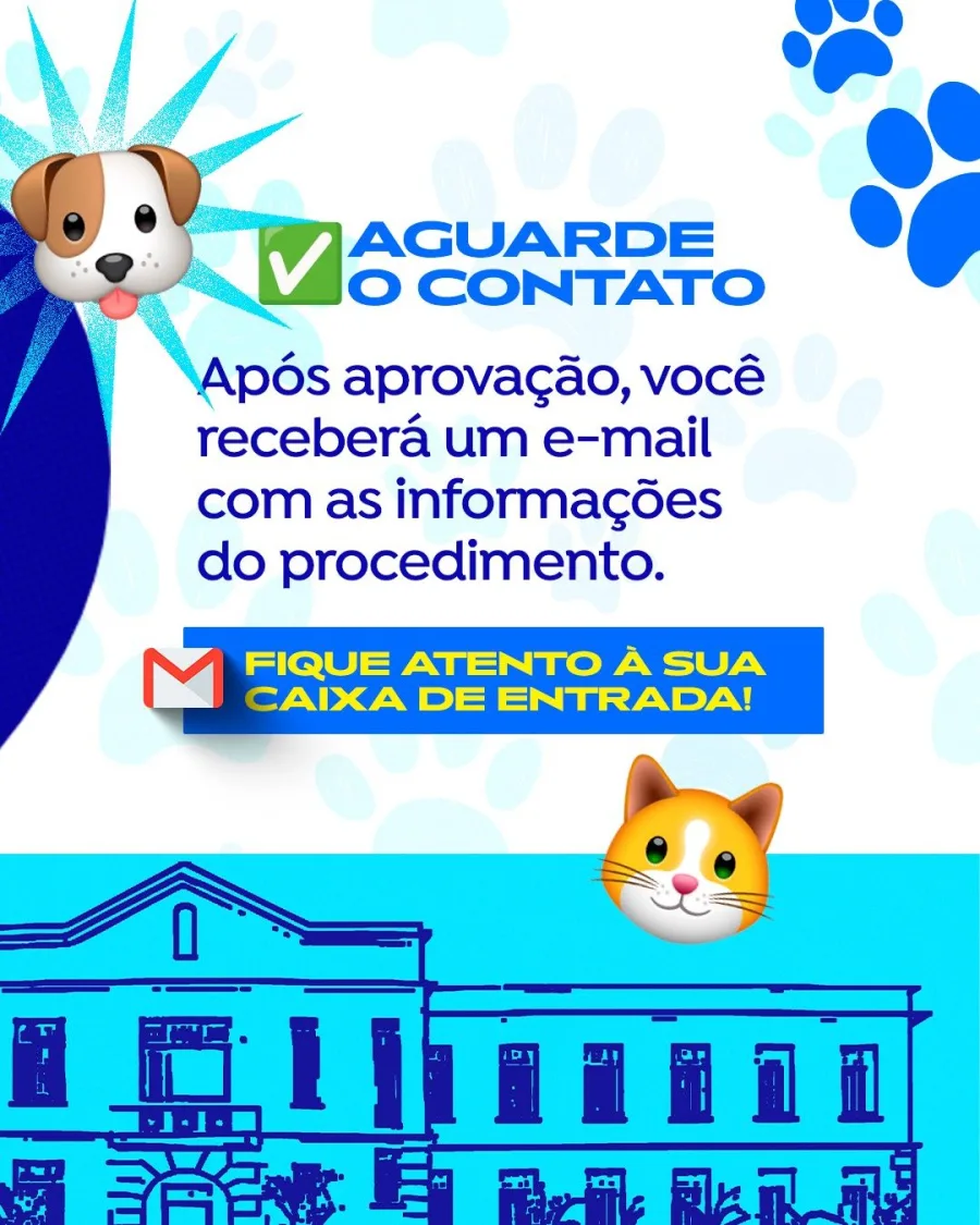 Programa municipal oferece castração gratuita para cães e gatos