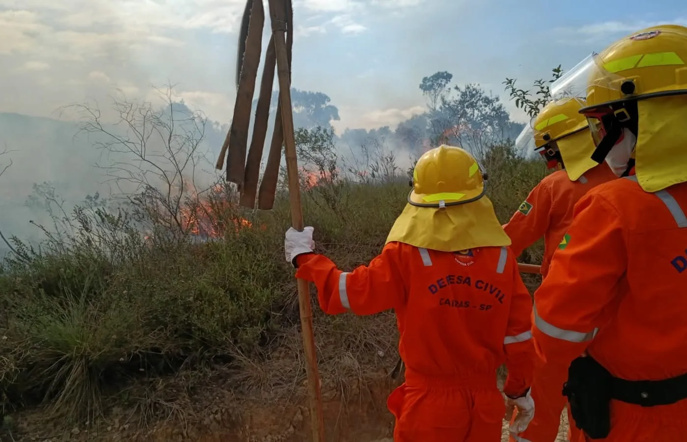 Queima controlada para evitar incêndios? Defesa Civil de Caieira participa de ação realizada no Parque Estadual do Juquery que tem um objetivo que muita gente desconhece