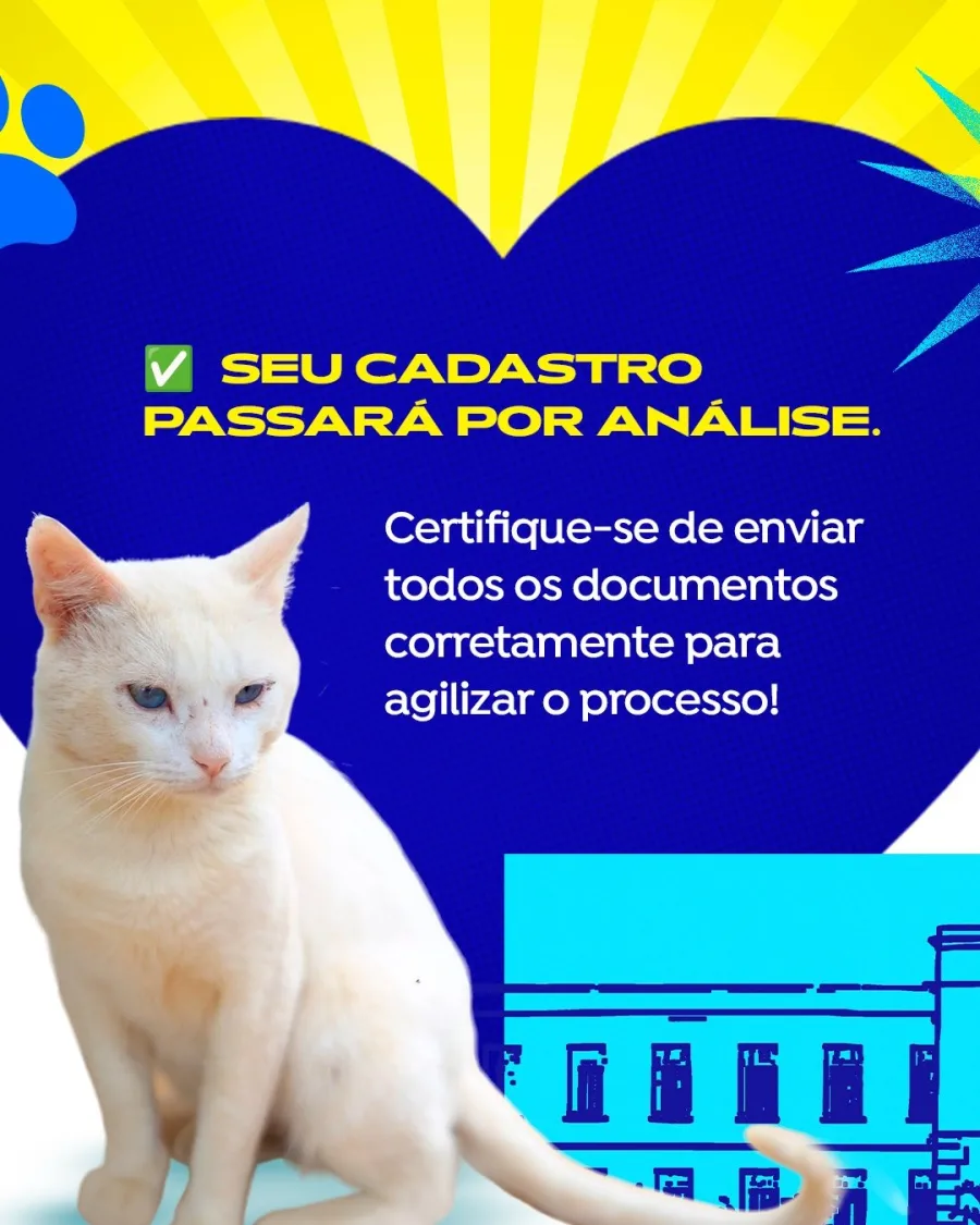 CastraPet: Franco da Rocha abre cadastro para castração gratuita