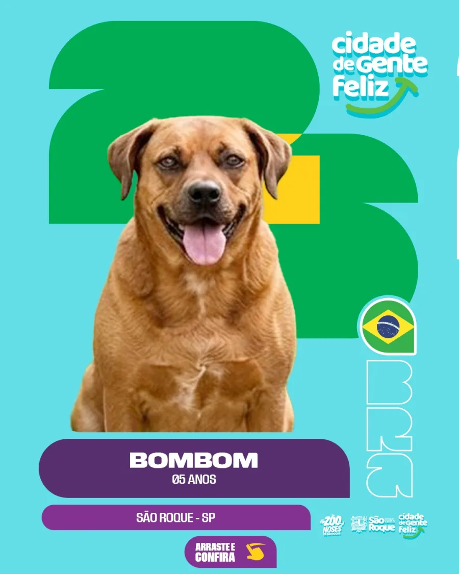A iniciativa busca incentivar a guarda responsável e ampliar as chances de adoção dos animais acolhidos.