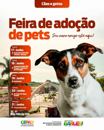 Quer adotar um cachorro ou gato? Veja onde encontrar seu novo amigo em Barueri