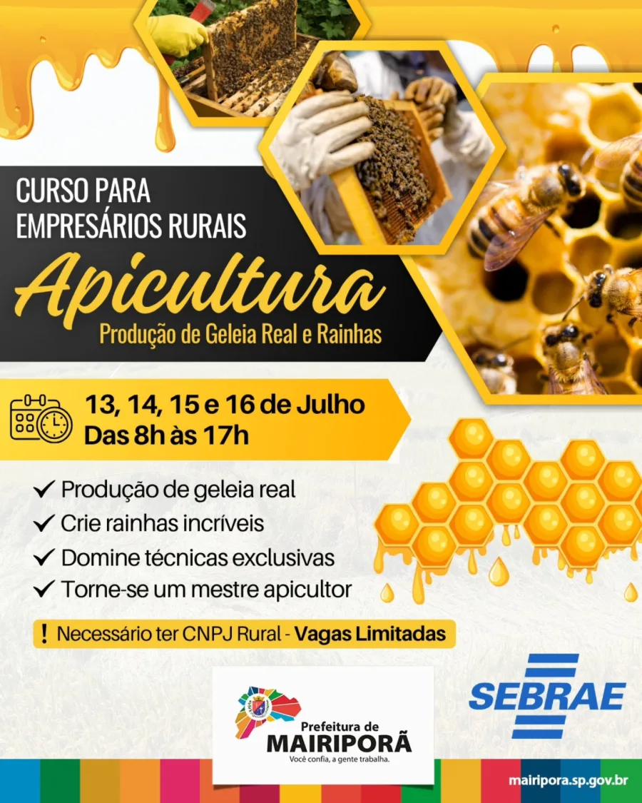 Mairiporã terá curso de apicultura entre 13 e 16 de julho de 2026, com atividades das 8h às 17h no Instituto Ecoo.