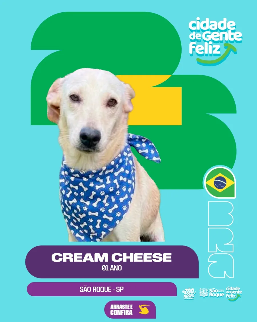 O evento reúne cães que aguardam uma oportunidade de encontrar um novo lar por meio da adoção responsável.