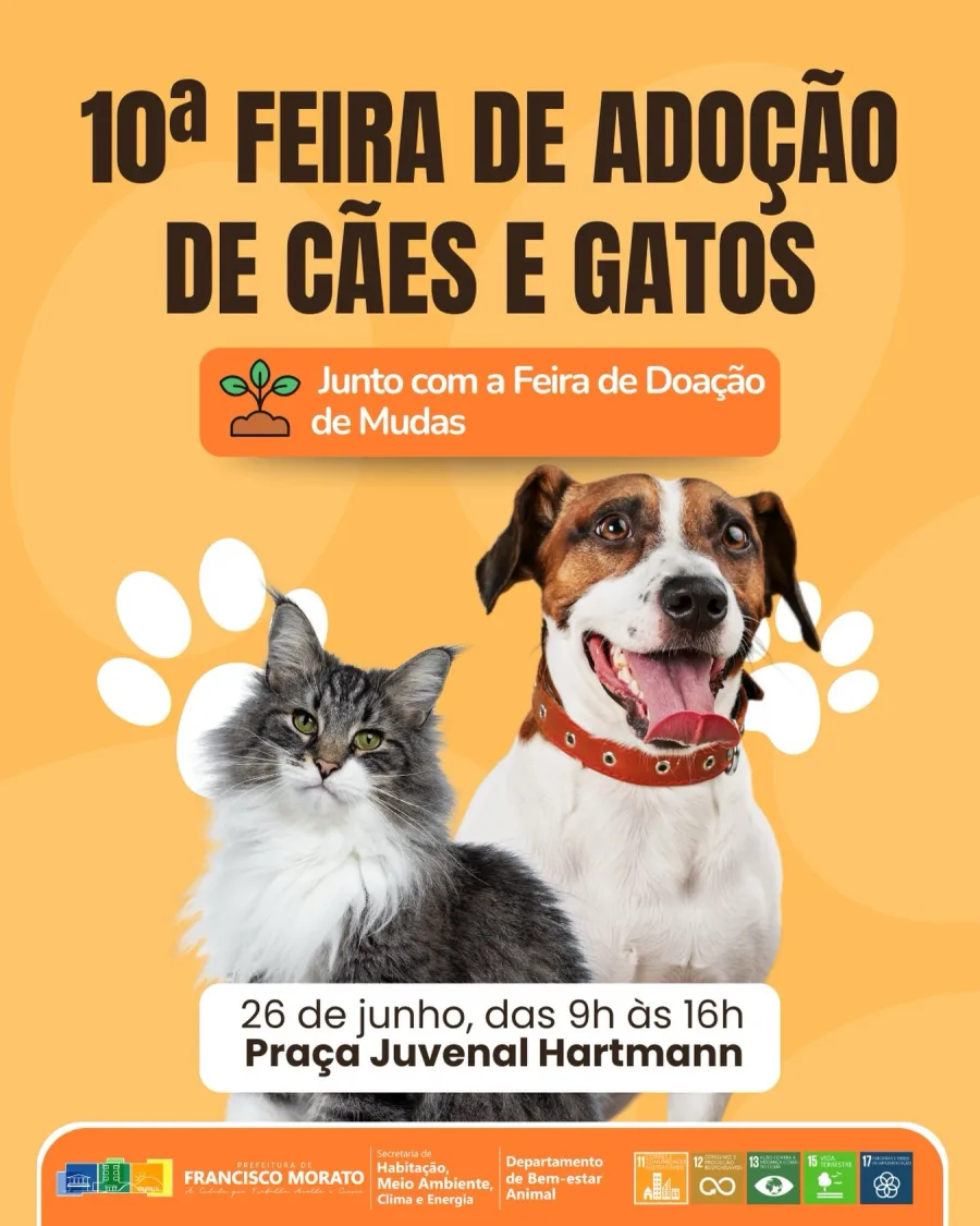 Francisco Morato realizará a 10ª Feira de Adoção de Cães e Gatos no dia 26 de junho.