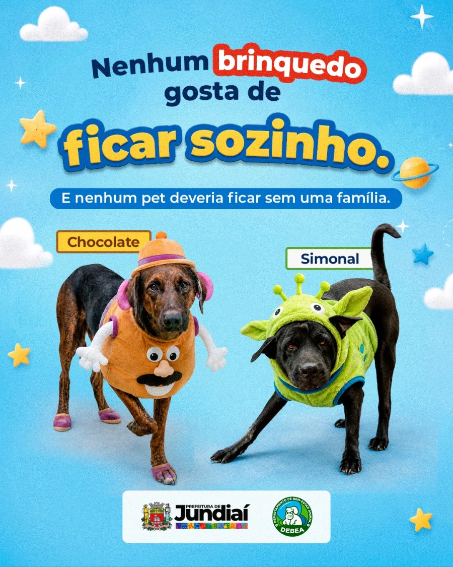 Chocolate e Simonal também procuram um lar, lembrando que nenhum animal deveria permanecer sozinho quando existe a possibilidade de adoção consciente.