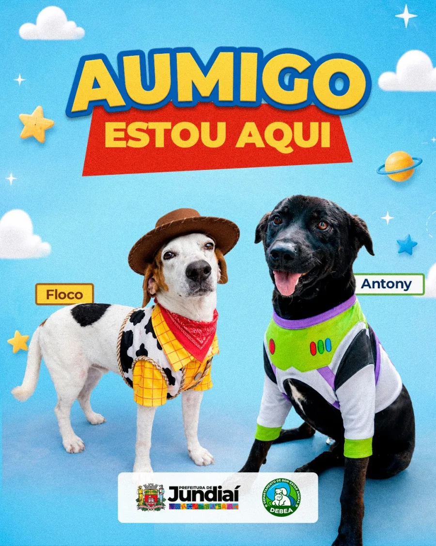 Nove cães acolhidos pelo DEBEA de Jundiaí foram apresentados em uma campanha que procura aproximá-los de famílias interessadas em adoção responsável.