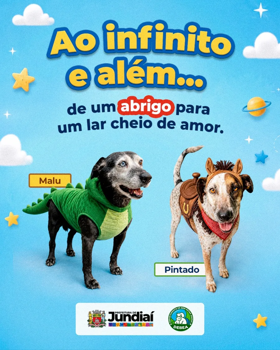 Malu e Pintado esperam deixar o abrigo para viver em um ambiente seguro, com alimentação, atenção, acompanhamento veterinário e espaço adequado.