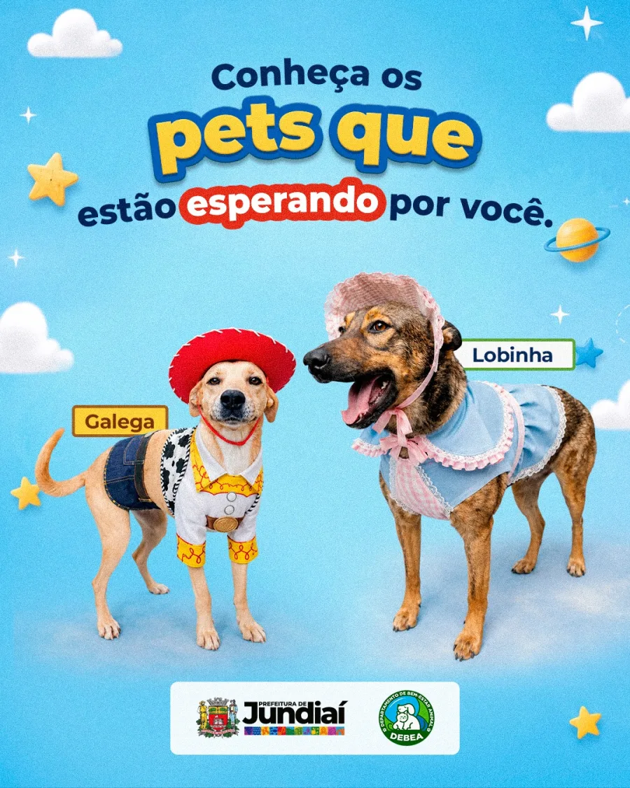 Galega e Lobinha completam o grupo divulgado pelo município, cada uma com personalidade própria e uma nova história ainda por começar.