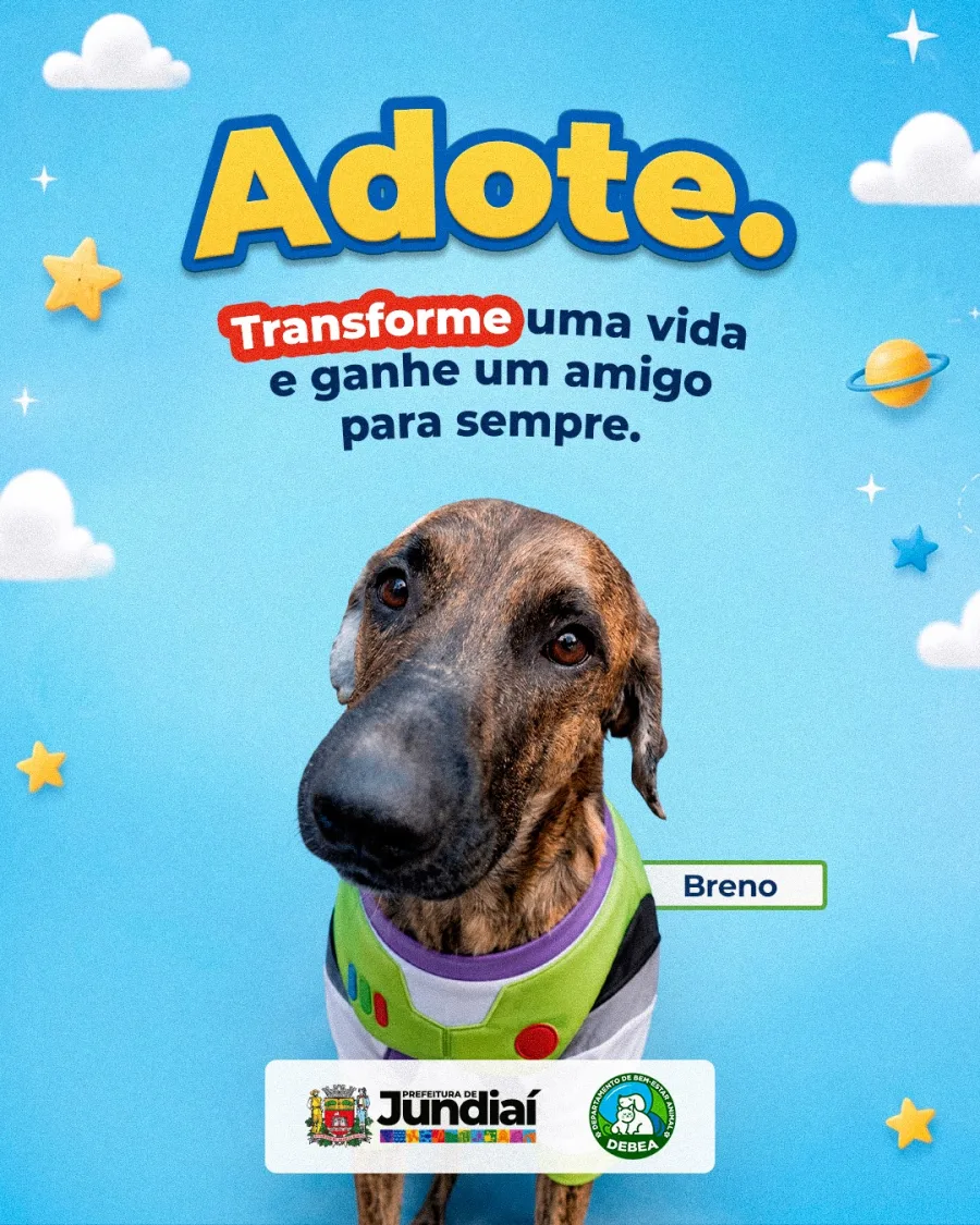 Breno ganha destaque individual e aguarda uma pessoa disposta a oferecer convivência e cuidados permanentes.