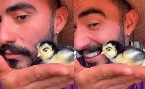 Mayk Leão, o Influencer do OVNI do Paraná, já viralizou com pintinho com sobrancelhas similares ao meme de MC Mirella