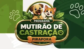 Mutirão de castração em Pirapora abre pré-cadastro: veja como garantir vaga para seu pet