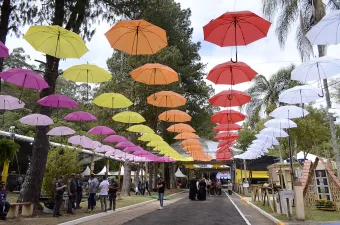 Festa das Orquídeas 2026 entra na contagem regressiva e mobiliza organização em Várzea Paulista