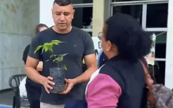 Doação de mudas de ipê-roxo mobiliza moradores em Campo Limpo Paulista