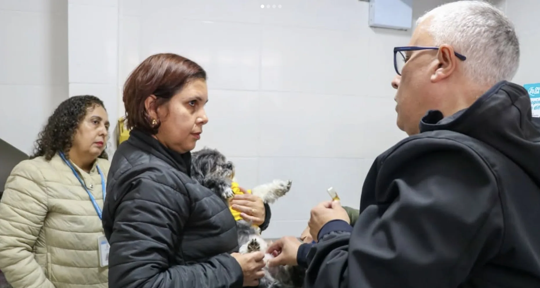 Vacina antirrábica gratuita em Carapicuíba toda quinta: veja como agendar pelo telefone antes de levar cães e gatos