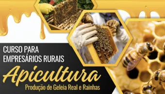 Mairiporã terá curso de apicultura para produção de geleia real e criação de rainhas
