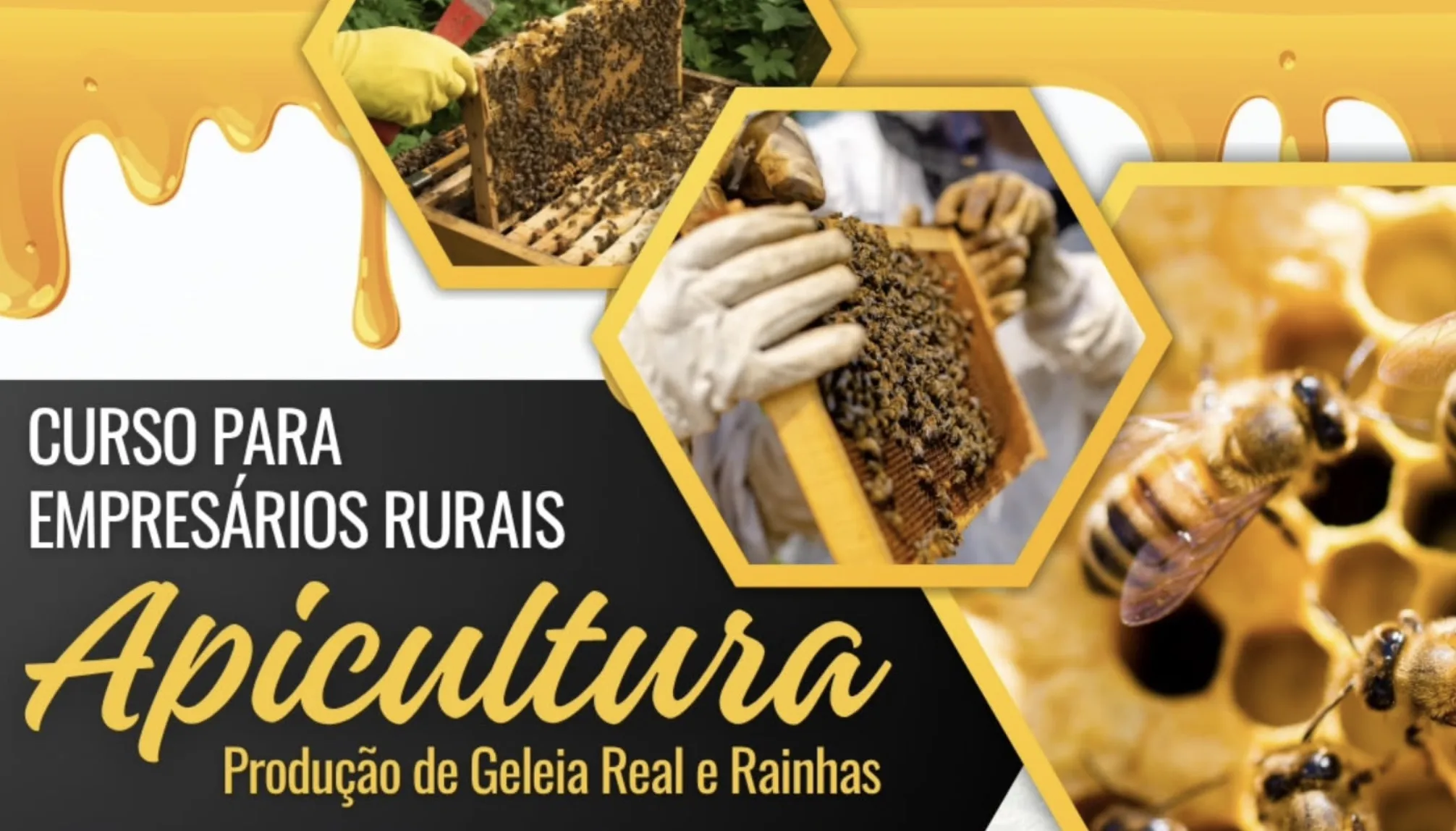 Mairiporã terá curso de apicultura para produção de geleia real e criação de rainhas