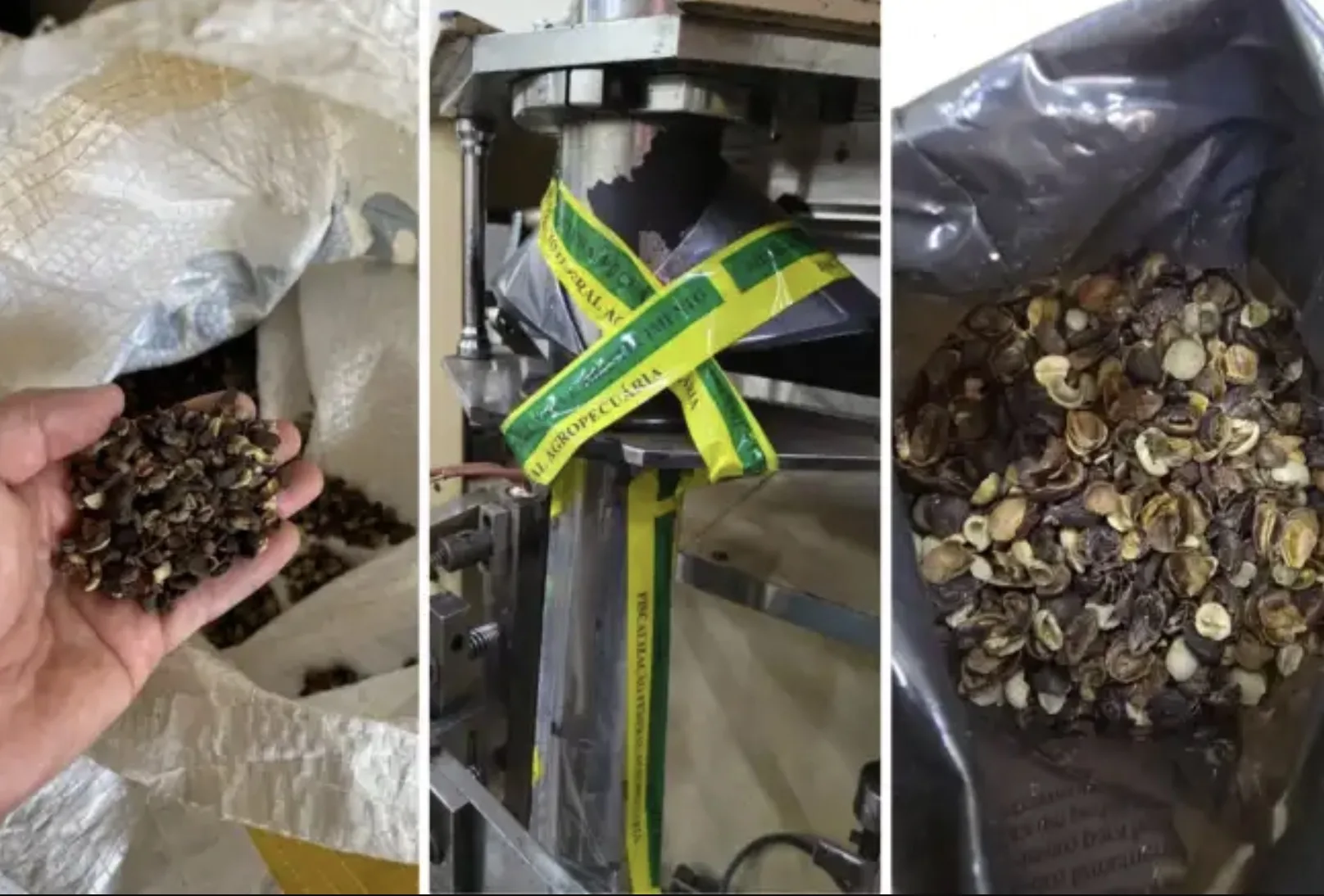 Você pode estar comprando café adulterado sem saber: Operação encontrou 82 toneladas de produto suspeito