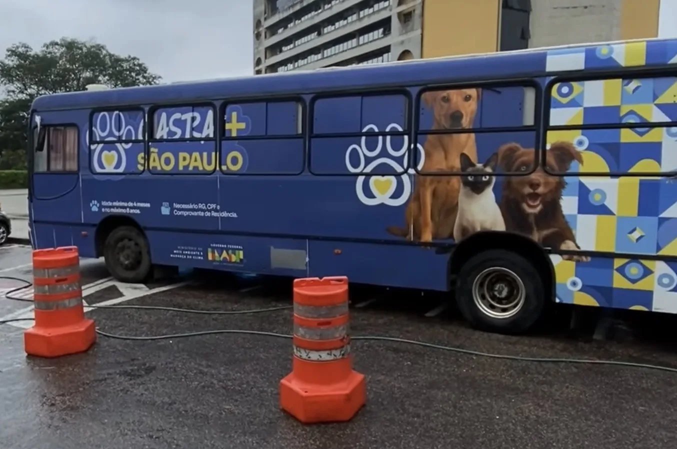 Castra+ inicia atendimentos em Jundiaí (SP) com 1.500 vagas para cães e gatos