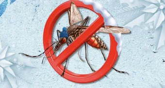 Dengue continua no inverno: Entenda por que os cuidados contra a dengue precisam continuar durante o inverno e quais medidas ajudam a evitar focos do mosquito