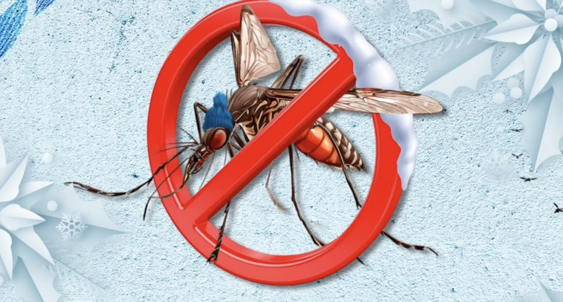 Dengue continua no inverno: Entenda por que os cuidados contra a dengue precisam continuar durante o inverno e quais medidas ajudam a evitar focos do mosquito