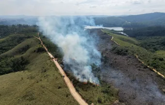 Queima controlada para evitar incêndios? Defesa Civil de Caieira participa de ação realizada no Parque Estadual do Juquery que tem um objetivo que muita gente desconhece