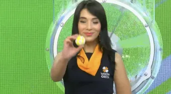 Quina hoje 01/06/2026; ATUALIZADO com os números sorteados