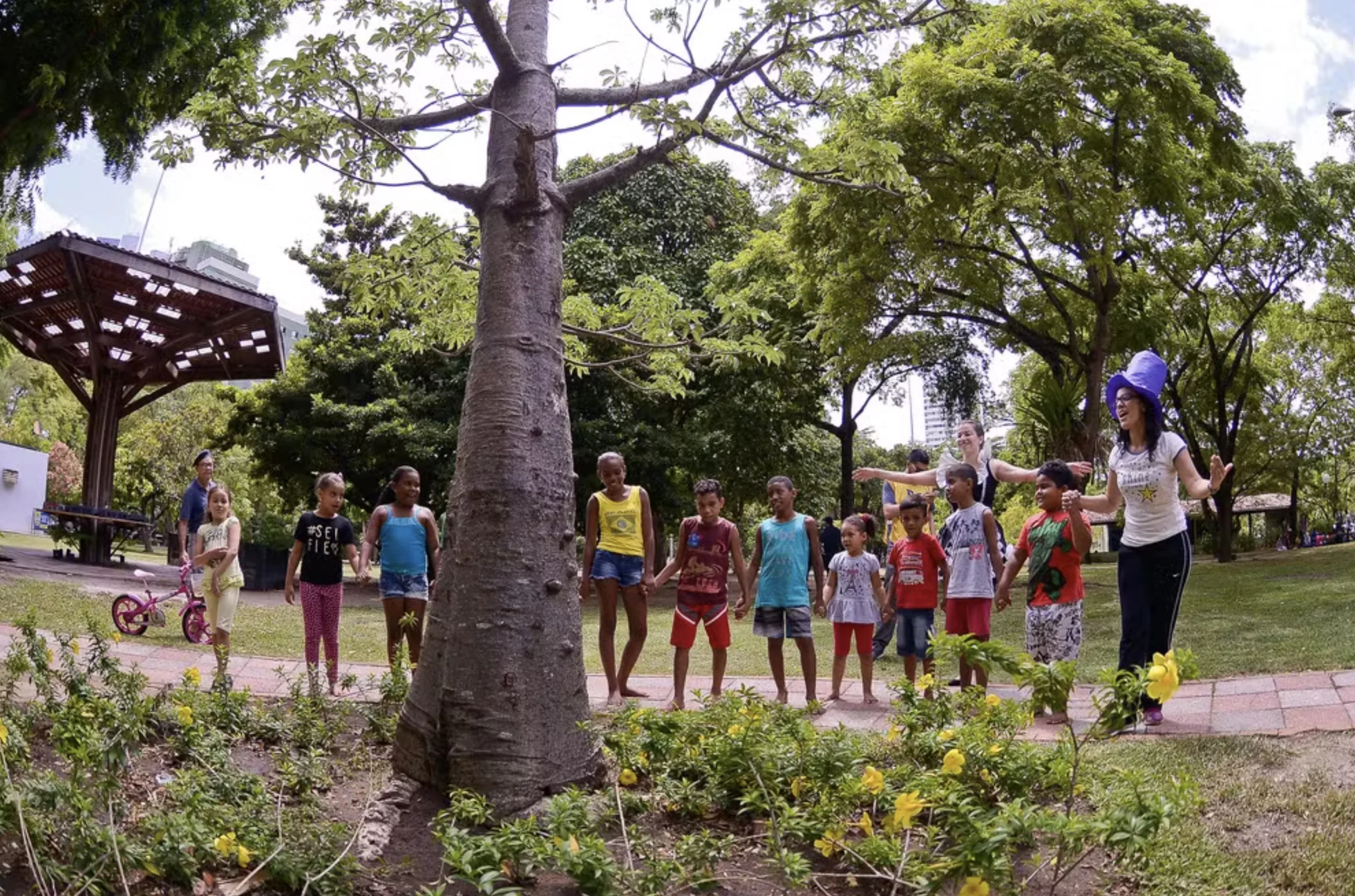 Criança não pode mais subir em árvore nos parques de SP? Entenda o caso que expôs uma regra esquecida no Villa-Lobos