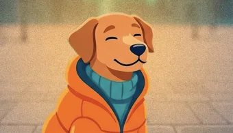 Campanha de Inverno Pet arrecada doações para proteger cães e gatos do frio em Jundiaí