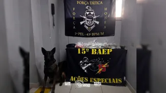 Você não vai acreditar no que a PM encontrou nesta casa na zona norte de SP; operação revelou arsenal do tráfico