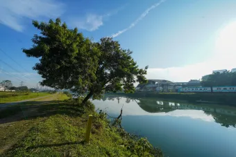 Despoluição do Rio Pinheiros avança e frequentadores relatam menos odor e mais animais na região