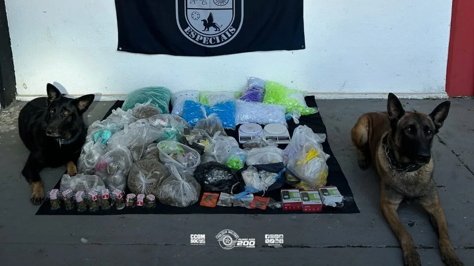 Cães farejadores acharam 21,8 kg de drogas na zona leste: o detalhe que revelou o esconderijo em plena operação