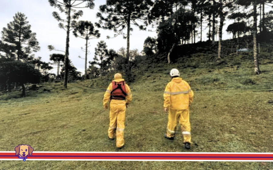 Durante as buscas, equipes da FAB e do Corpo de Bombeiros enfrentaram chuva, baixa visibilidade, mata fechada e relevo acidentado na Serra Catarinense até a localização dos destroços do Bell 430. (Foto: Divulgação equipe de buscas)