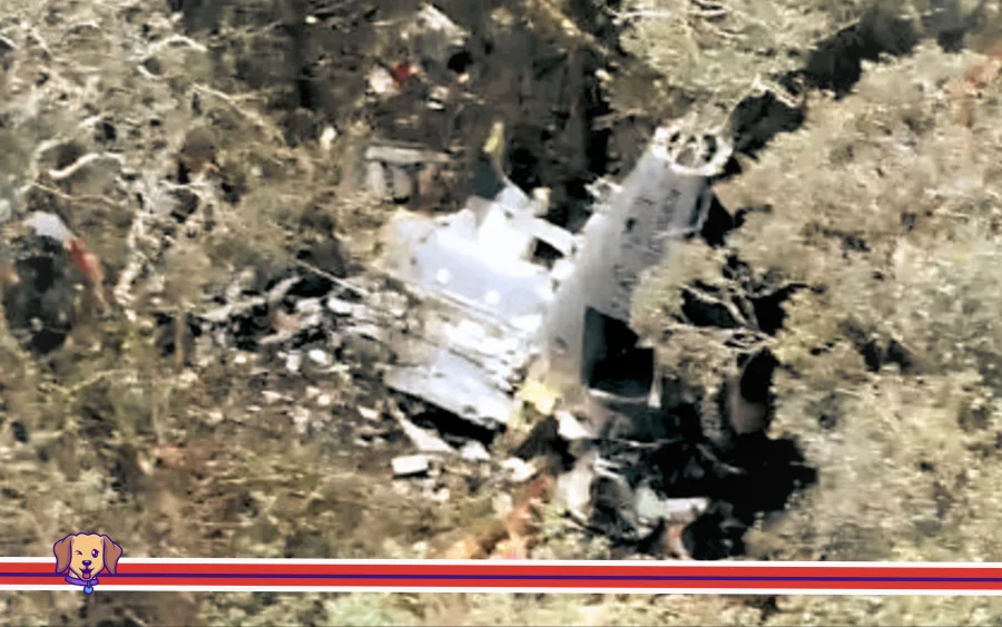 Destroços do Bell 430 foram encontrados em área de mata na Serra Catarinense; a perícia da aeronave será fundamental para reconstruir a dinâmica do acidente e identificar possíveis fatores contribuintes. (Foto: Divulgação equipe de buscas)